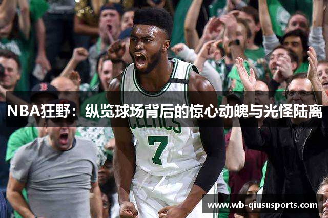 NBA狂野：纵览球场背后的惊心动魄与光怪陆离